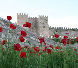 Castillo de Trujillo