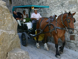 Paseos en Calesa