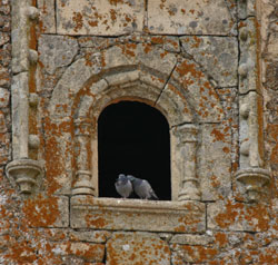 Ventana del Palacio de Escobar