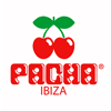 Pacha