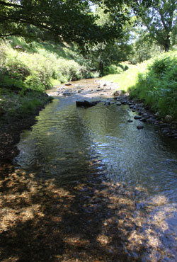 Rio lindero